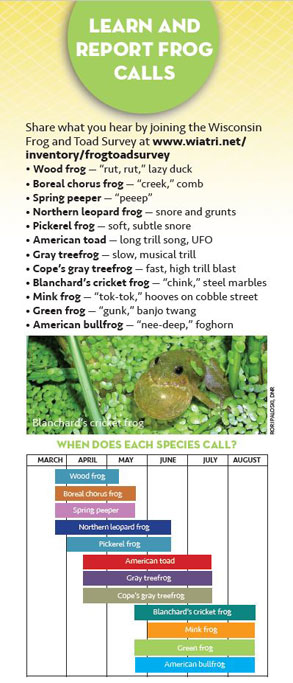 link to frog call guide