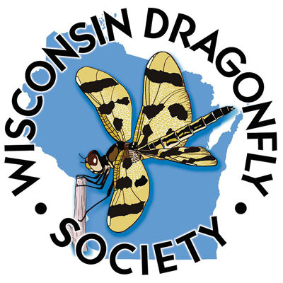 wds logo