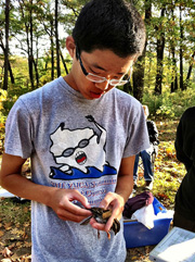 Photo of Ethan Bott banding a bird