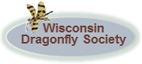 Wisconsin Dragonfly Society logo