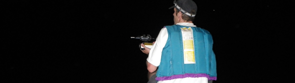Image of volunteer using a bat detector