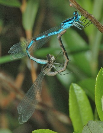 photo of Male and female in wheel