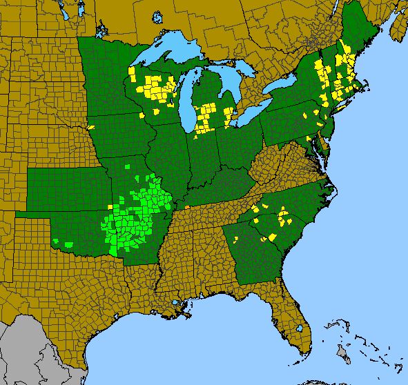 Map showing the range of Missouri rock-cress