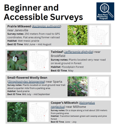 cover of beginner surveys document
